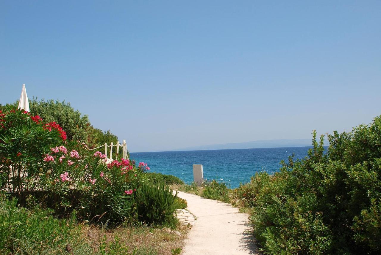Dream View Apartments Dalmatia Trogir Dış mekan fotoğraf